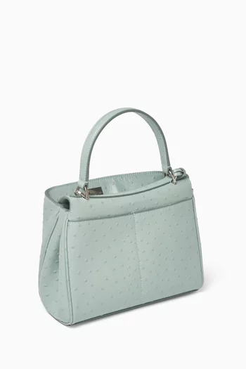 Mini Rodeo Handbag in Ostrich-embossed Leather