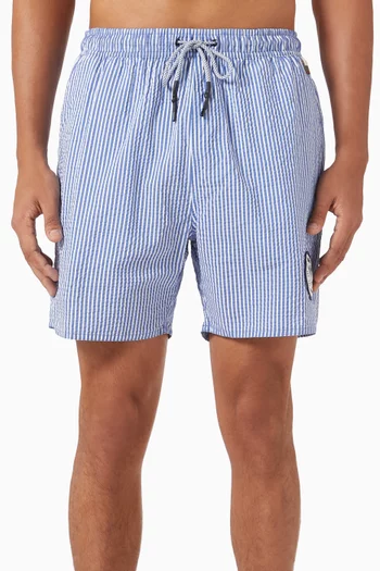 Joe Striped Swim Shorts