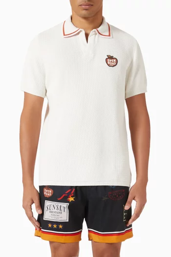 Aron Knit Polo Shirt in Cotton