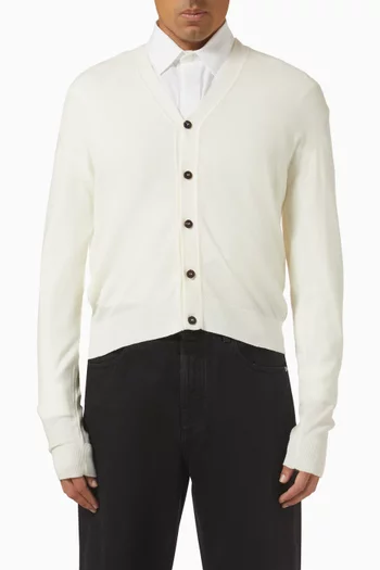 Le Cardigan Brode in Meino Wool