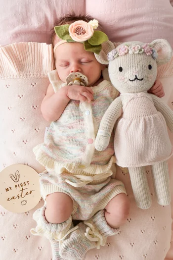 The Mouse Soft Toy, Regular