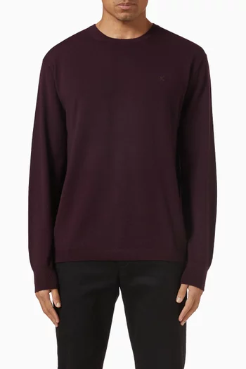 Classic Crew Neck Sweater in Merino Wool