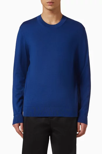 Crewneck Sweater in Merino-wool