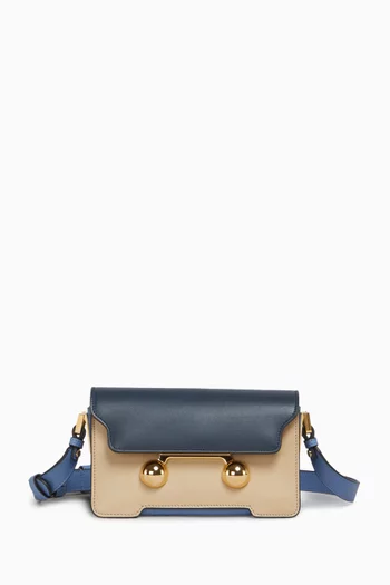 Mini Trunkaroo Shoulder Bag in Calfskin Leather