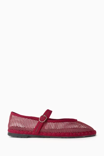 Isabella Ballet Flats in Mesh