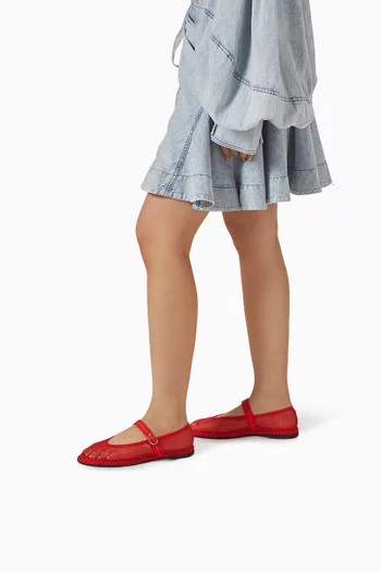 Isabella Ballet Flats in Mesh
