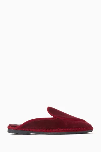 Bruna Slippers in Velvet