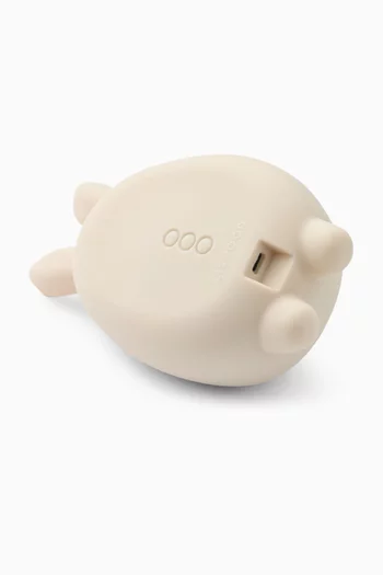 Manuel Sound & Projector Lamp