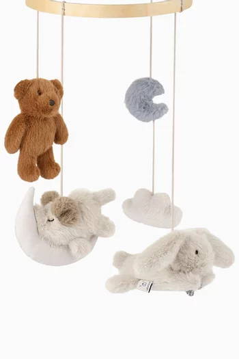 دلاية للزينة ميلي