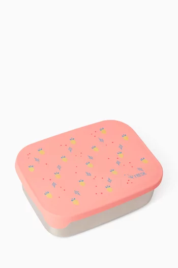 Summer Fruit Stainless Steel Lunchbox