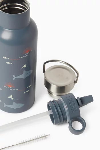 Shark Insulated Water Bottle