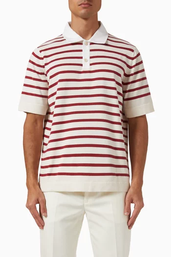 Striped Polo Shirt in Cotton Knit