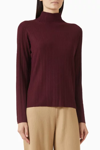 Turtleneck Sweater in Regenerative Merino Wool