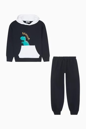 Dino Hoodie & Sweatpants Set