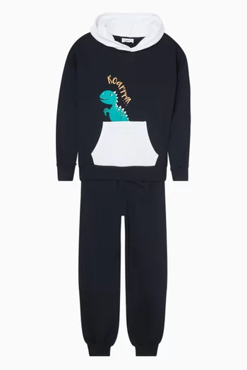 Dino Hoodie & Sweatpants Set
