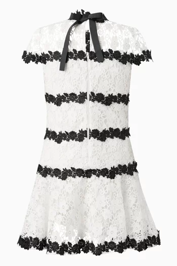 Aveline Embroidered Mini Dress in Floral-lace