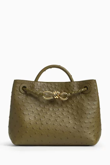 Small Andiamo Bag in Ostrich Leather