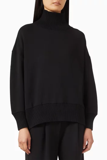 Barker High-neck Sweater in DoubleSoft®