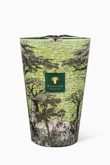 Sacred Trees Touba Scented Candle Max 10