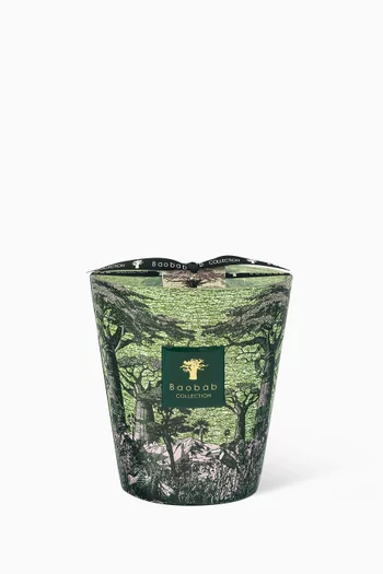 Sacred Trees Touba Scented Candle Max 16