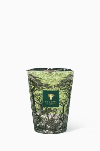 Sacred Trees Touba Scented Candle Max 24