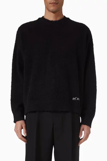 Shaggy Sweater in Knit