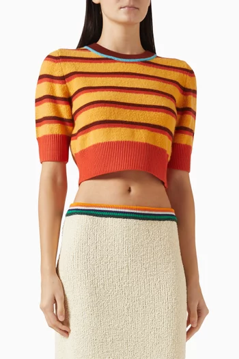 Striped Ringer Crop T-shirt