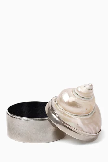 Shell Jewelry Box