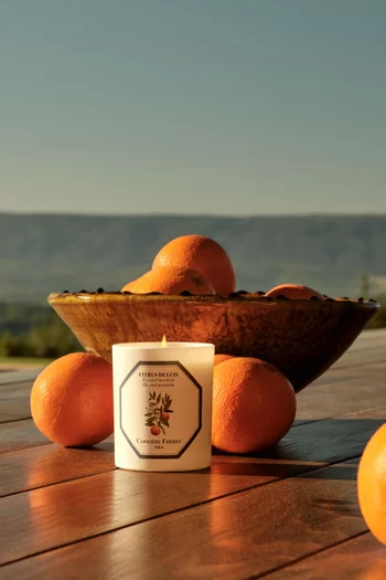Citrus Dulcis Scented Candle, 185g