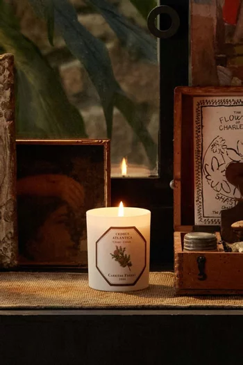 Cedrus Atlantica Scented Candle, 185g