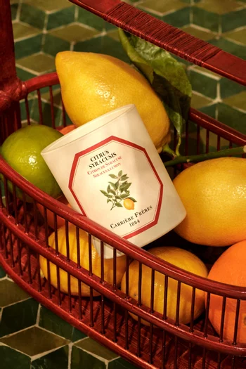 Citrus Syracusis Scented Candle, 185g