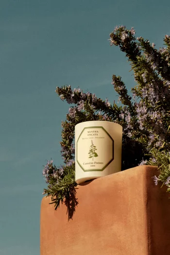 Mentha Spicata Scented Candle, 185g