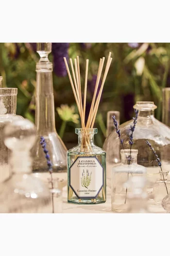 Lavandula Angustifolia Diffuser, 200ml