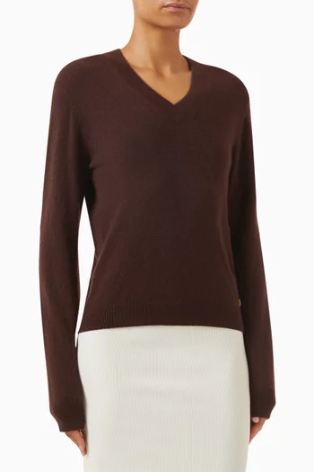 Lennox Crewneck Sweater in Cashmere