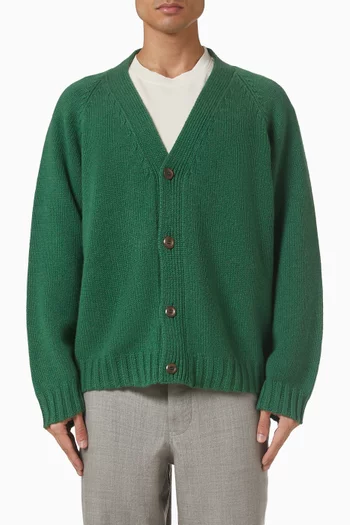 Oak Cardigan in Cashmere