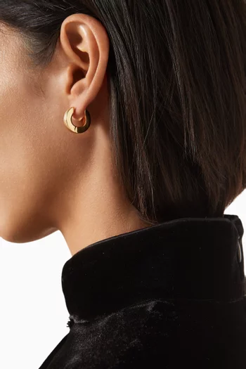 Hoop Earrings in Plated Brass