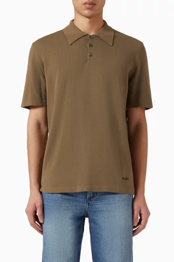 Logo Intarsia Polo Shirt in Cotton