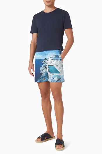 Bulldog Photographic Swim Shorts