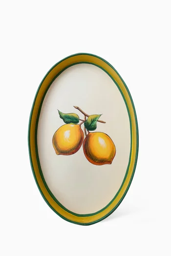 صينية بنقشة ليمون مطلية يدويًا حديد