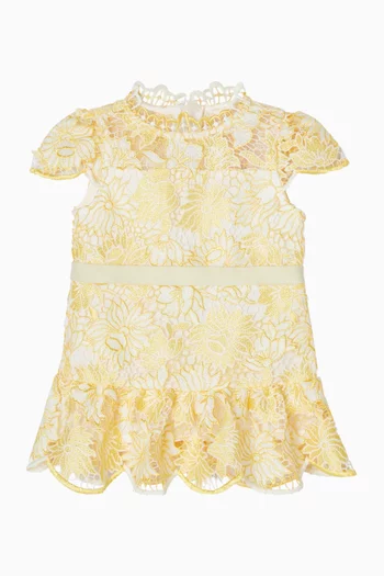 Cassandra Embroidered Mini Dress