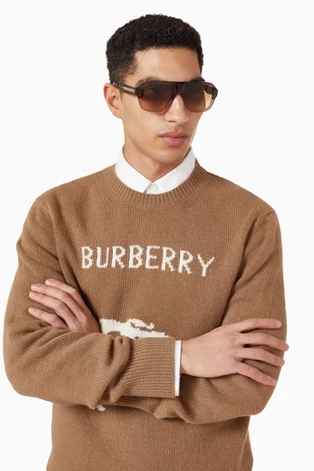 Aviator Sunglasses in Acetate