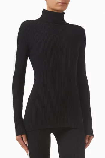 Leopold Roll-neck Sweater in Knit