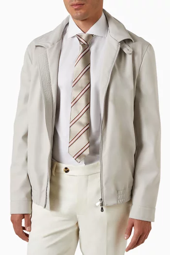 Striped Neck Tie in Silk