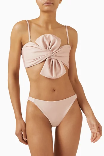 Potosi Reversible Bikini Briefs