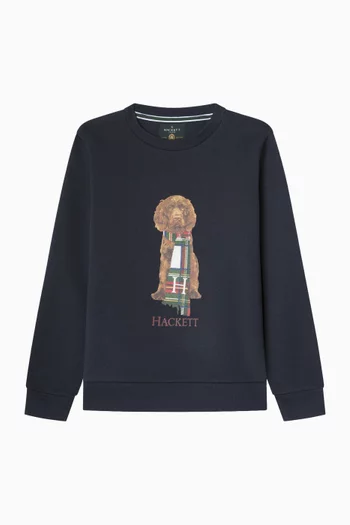 سويت شيرت هاري