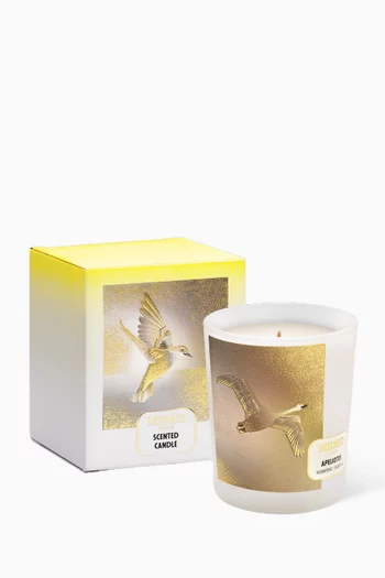 Apeliotes Scented Candle, 180g