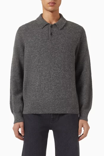 Brushed Polo Sweater in Alpaca-blend