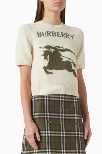 بلوزة سكايلر منسوجة من مزيج صوف