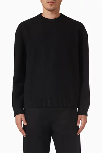 Crew-neck Sweater in Boiled Wool
