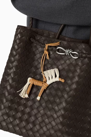 دلاية حصان بتصميم قش جلد